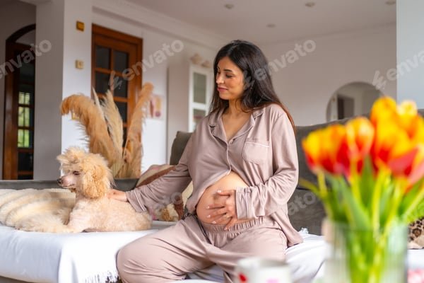 Découvrez la boutique paradis du confort pour un cocooning parfait